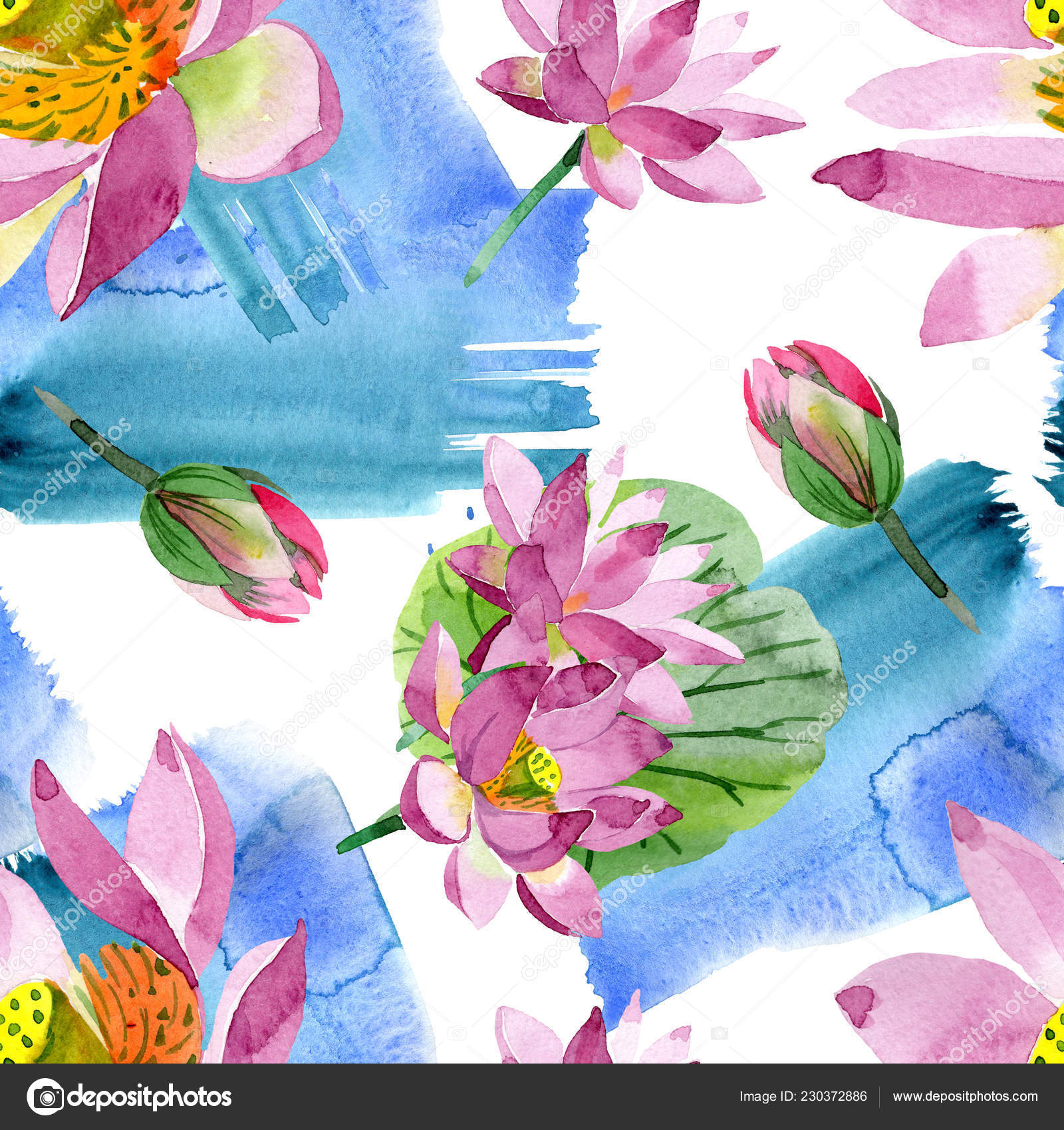 美しい紫の蓮の花は 白で隔離 水彩画背景イラスト Aquarelle シームレスな背景パターン 壁紙印刷手触りの生地 無料のストック写真 C Andreyanush