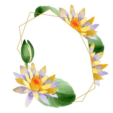 Sarı nilüfer. Botanik çiçek. Vahşi bahar yaprak izole kır çiçeği. Suluboya arka plan illüstrasyon küme. Suluboya çizim moda aquarelle izole. Çerçeve kenarlığı süsleme Meydanı.