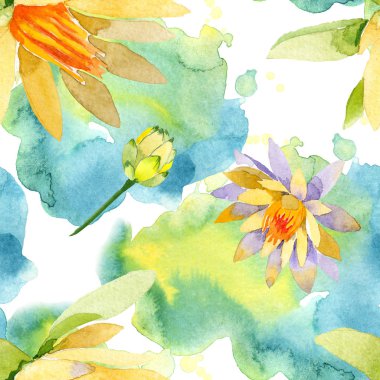 Güzel sarı lotus çiçekleri beyaz izole. Suluboya arka plan illüstrasyon. Suluboya çizim moda aquarelle. Sorunsuz arka plan deseni.