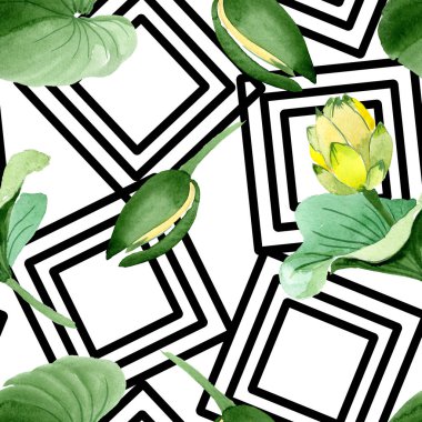 Güzel sarı lotus çiçekleri beyaz izole. Suluboya arka plan illüstrasyon. Suluboya çizim moda aquarelle. Sorunsuz arka plan deseni.