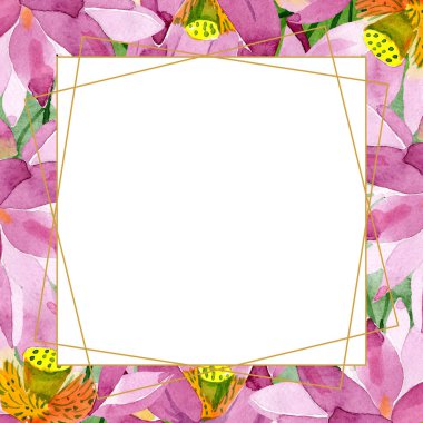 Güzel mor lotus çiçekleri beyaz izole. Suluboya arka plan illüstrasyon. Suluboya çizim moda aquarelle. Çerçeve kenarlığı süsleme.