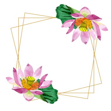 Güzel mor lotus çiçekleri beyaz izole. Suluboya arka plan illüstrasyon. Suluboya çizim moda aquarelle. Çerçeve kenarlığı süsleme kristal.