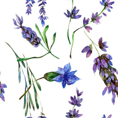 Beyaz izole güzel mor lavanta çiçekleri. Suluboya arka plan illüstrasyon. Suluboya çizim moda aquarelle. Sorunsuz arka plan deseni.