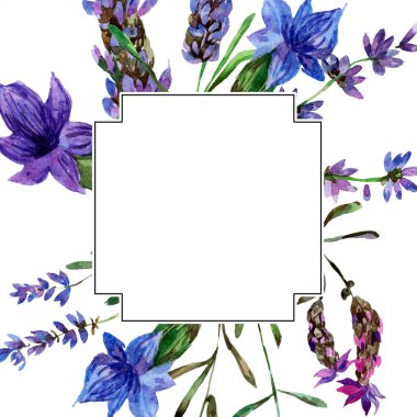 Beyaz izole güzel mor lavanta çiçekleri. Suluboya arka plan illüstrasyon. Suluboya çizim moda aquarelle. Çerçeve kenarlığı süsleme.