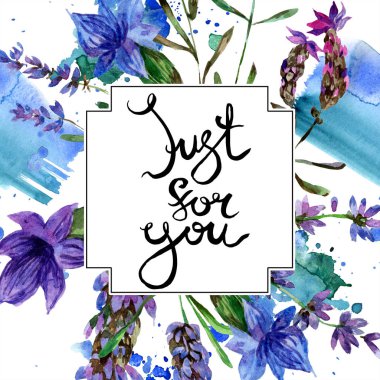 Beyaz izole güzel mor lavanta çiçekleri. Suluboya arka plan illüstrasyon. Suluboya çizim moda aquarelle. Çerçeve kenarlığı süsleme. Sadece sen yazıt için