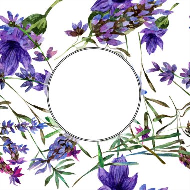 Beyaz izole güzel mor lavanta çiçekleri. Suluboya arka plan illüstrasyon. Suluboya çizim moda aquarelle. Çerçeve kenarlığı süsleme.