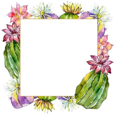 Yeşil kaktüsler üzerinde beyaz izole. Suluboya arka plan illüstrasyon. Suluboya çizim moda aquarelle. Çerçeve kenarlığı süsleme.