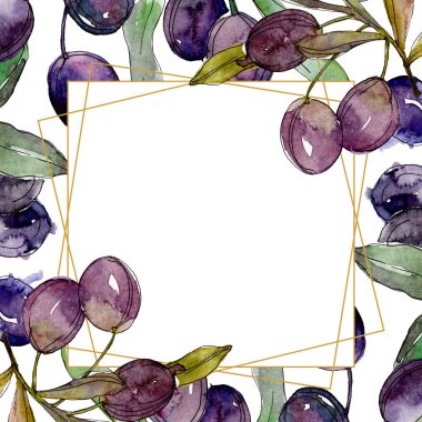 Zeytin dalları yeşil yaprakları ile üzerinde. Botanik Bahçe çiçek yaprakları. Beyaz zemin üzerine suluboya resim. Çerçeve altın kristal.