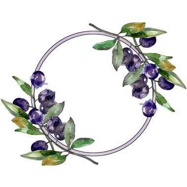 Zeytin dalları yeşil yaprakları ile üzerinde. Botanik Bahçe çiçek yaprakları. Beyaz zemin üzerine suluboya resim. Yuvarlak çerçeve.