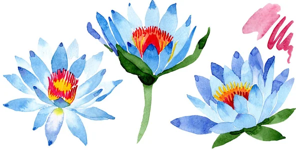 Hermosas Flores Loto Azul Aisladas Blanco Ilustración Fondo Acuarela Dibujo — Foto de Stock