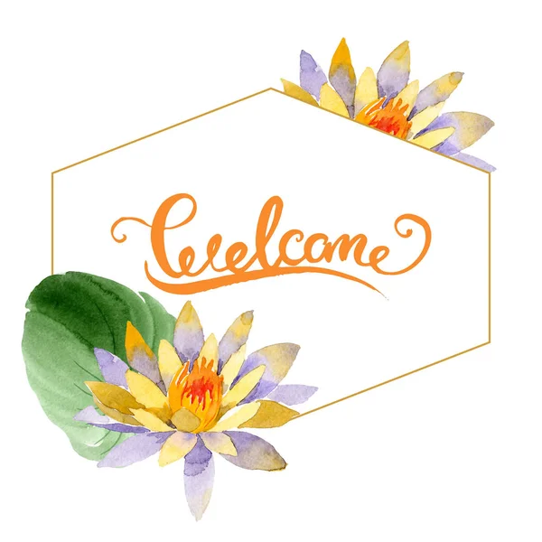 Gele Lotus Floral Botanische Bloem Wild Voorjaar Blad Wildflower Geïsoleerd — Stockfoto