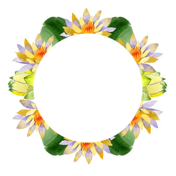 Gelber Lotus Blütenbotanische Blume Wildes Frühlingsblatt Wildblume Isoliert Aquarell Hintergrundillustration — kostenloses Stockfoto