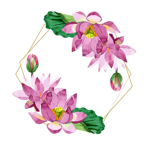 Όμορφο Μοβ Lotus Λουλούδια Απομονωμένα Λευκό Ακουαρέλα Φόντο Εικόνα Ακουαρέλα — Δωρεάν Φωτογραφία
