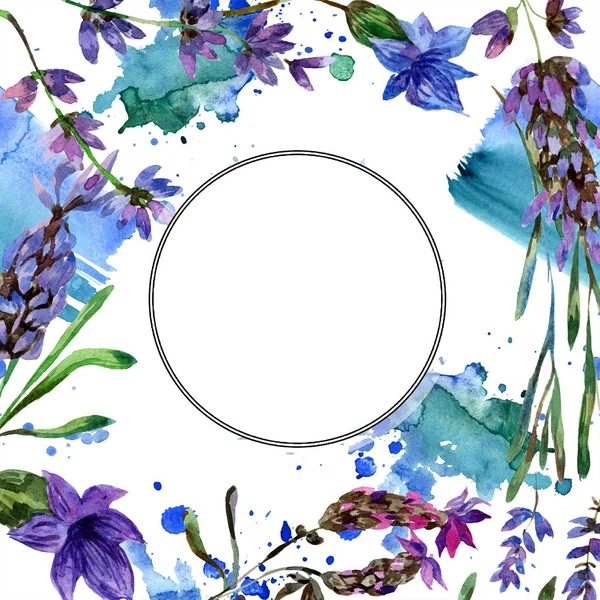 Vacker Lila Lavendel Blommor Isolerade Vitt Akvarell Bakgrund Illustration Akvarell — Stockfoto