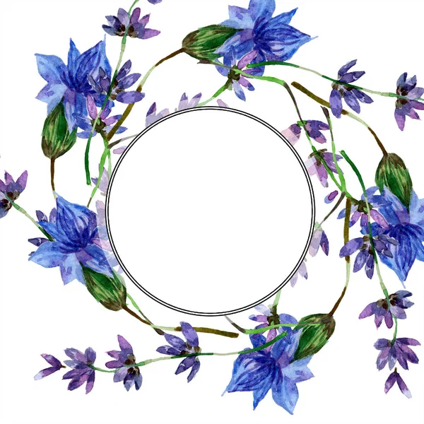 Vacker Lila Lavendel Blommor Isolerade Vitt Akvarell Bakgrund Illustration Akvarell — Stockfoto