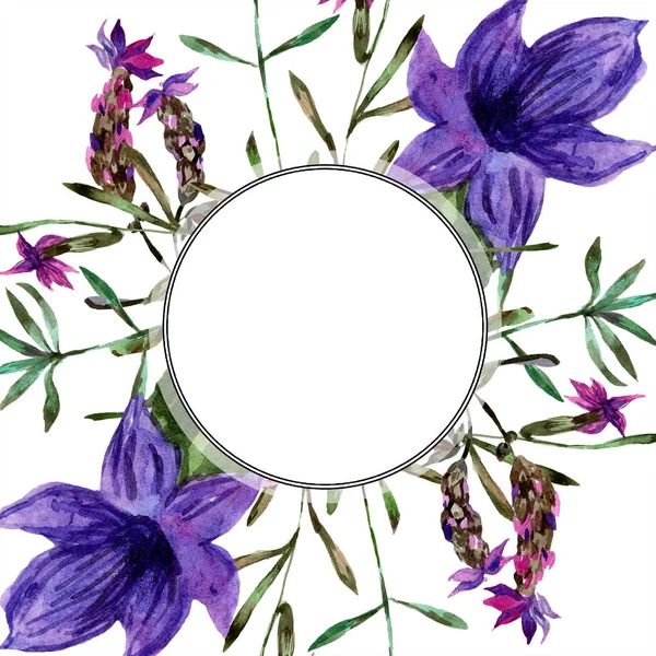 Hermosas Flores Lavanda Púrpura Aisladas Blanco Ilustración Fondo Acuarela Acuarela —  Fotos de Stock