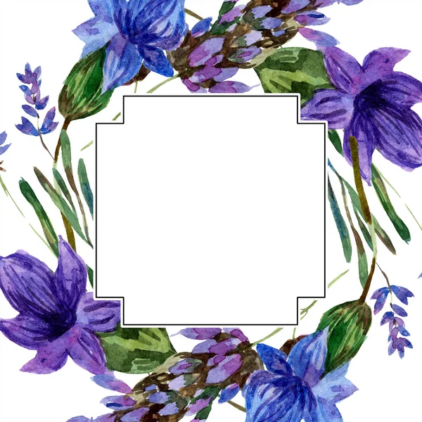 Hermosas Flores Lavanda Púrpura Aisladas Blanco Ilustración Fondo Acuarela Acuarela — Foto de Stock