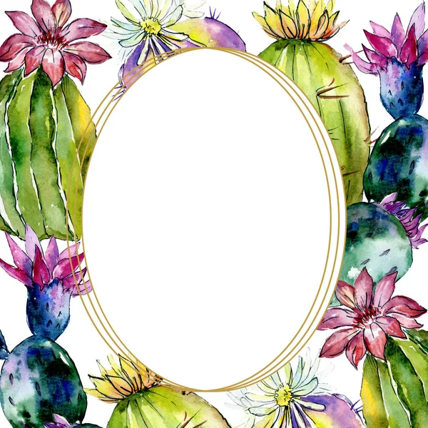Zelená Kaktusy Izolované Bílém Ilustrace Akvarel Zázemí Akvarel Výkresu Módní — Stock fotografie zdarma