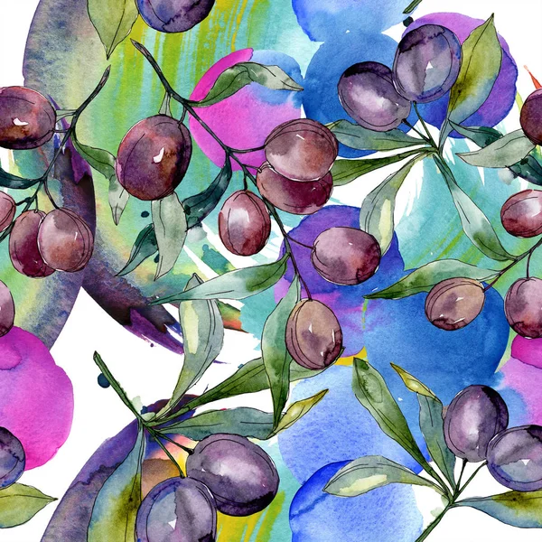 Černé Olivy Větvích Zelenými Listy Botanická Zahrada Květinové Listy Ilustrace — Stock fotografie zdarma