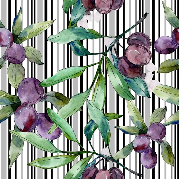 Black Olives Branches Green Leaves Botanical Garden Floral Foliage Watercolor — Free Stock Photo