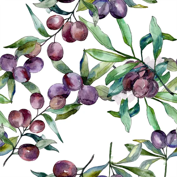 Black Olives Branches Green Leaves Botanical Garden Floral Foliage Watercolor — Stock Photo, Image