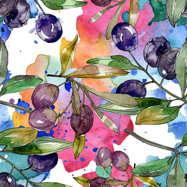 Чорні Оливки Гілках Зеленим Листям Ботанічний Сад Квіткового Листя Ілюстрація — Безкоштовне стокове фото
