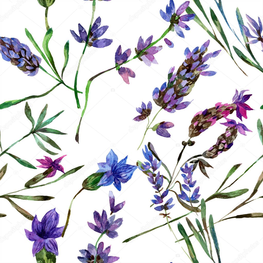 Beautiful purple lavender flowers isolated on white. Watercolor background illustration. Watercolour drawing fashion aquarelle. Seamless background pattern.