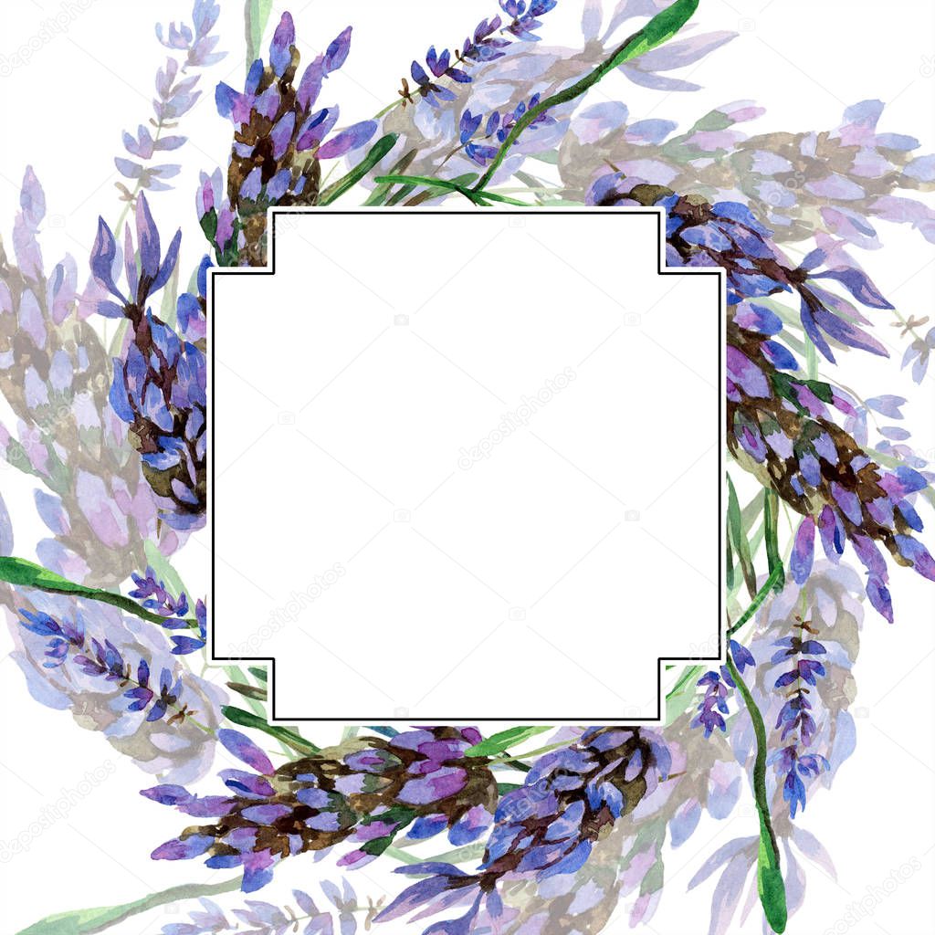 Beautiful purple lavender flowers isolated on white. Watercolor background illustration. Watercolour drawing fashion aquarelle. Frame border ornament.