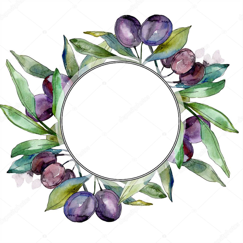 Olives on branches with green leaves. Botanical garden floral foliage. Watercolor illustration on white background. Round frame.