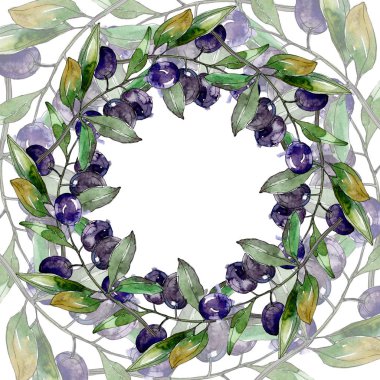 Zeytin dalları yeşil yaprakları ile üzerinde. Botanik Bahçe çiçek yaprakları. Beyaz zemin üzerine suluboya resim. Yuvarlak çerçeve.