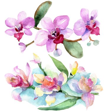 Güzel orkide çiçekleri beyaz izole yeşil yaprakları ile. Suluboya arka plan illüstrasyon. Suluboya çizim moda aquarelle. İzole orkide illüstrasyon öğesi.