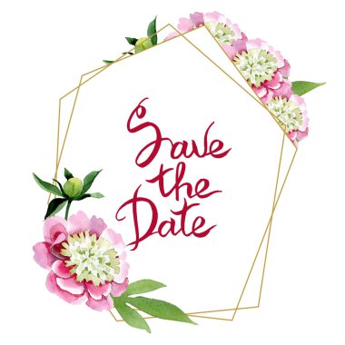 Güzel pembe şakayık çiçekleri beyaz arka plan üzerinde izole yeşil yaprakları ile. Suluboya çizim aquarelle. Çerçeve kenarlığı süsleme. Tarihi el yazısı monogram hat kaydetmek