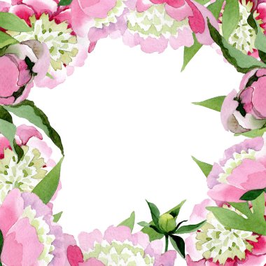 Güzel pembe şakayık çiçekleri beyaz arka plan üzerinde izole yeşil yaprakları ile. Suluboya çizim aquarelle. Çerçeve kenarlığı süsleme.