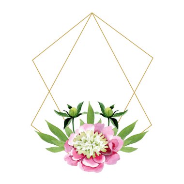 Güzel pembe peony çiçek tomurcukları ve beyaz arka plan üzerinde izole yeşil yaprakları ile. Suluboya çizim aquarelle. Çerçeve kenarlığı süsleme. Elmas takı maden.