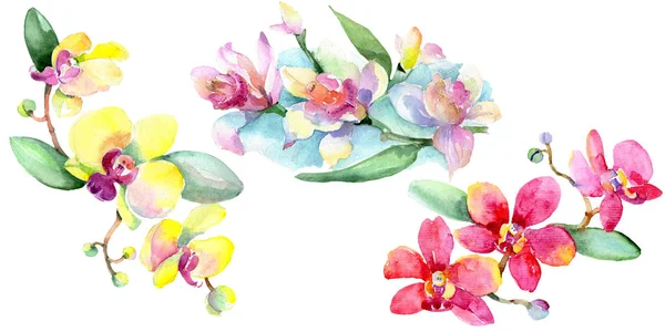 美しい蘭の花 緑の葉が白で隔離 水彩画背景イラスト 水彩描画ファッション Aquarelle 孤立した蘭の図要素  — 無料ストックフォト