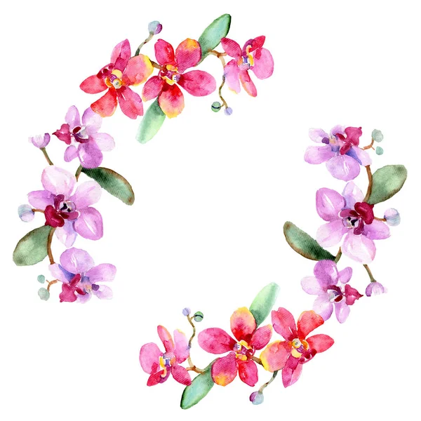 Anggrek Kuning Dan Ungu Stok Foto Anggrek Kuning Dan Ungu Gambar