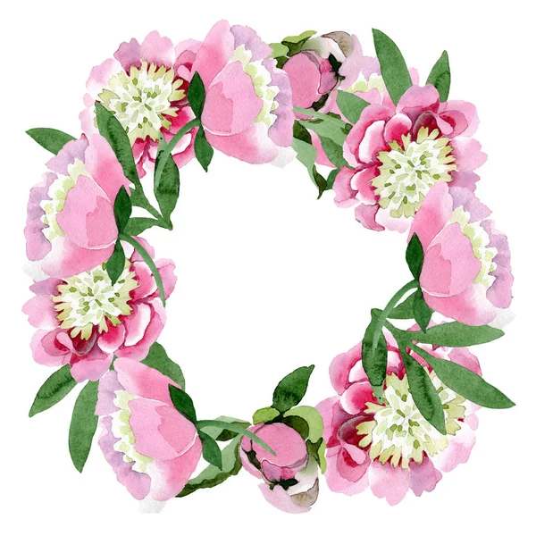 Hermosas Flores Peonía Rosa Con Hojas Verdes Aisladas Sobre Fondo — Foto de stock gratis