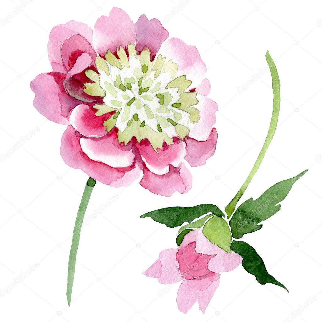 AndreYanush