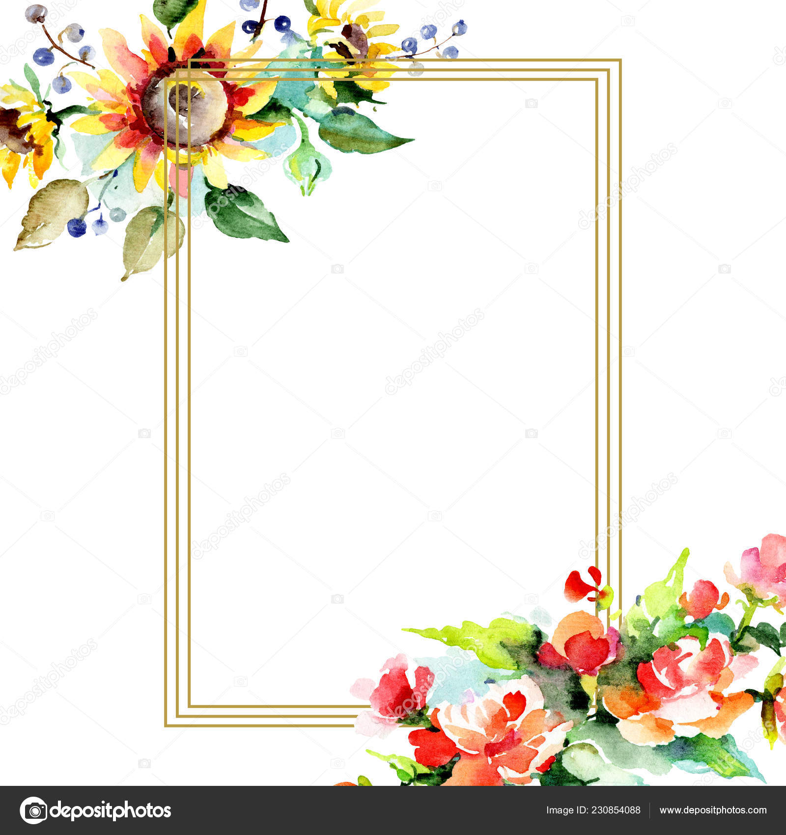 美丽的水彩花在白色背景水彩画水族馆孤立的花束的花例证元素框架边框装饰 免费图库图片 C Andreyanush