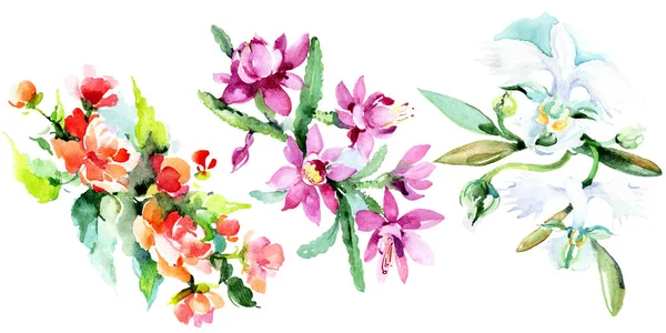 Όμορφα Λουλούδια Ακουαρέλα Άσπρο Φόντο Ακουαρέλα Σχεδίασης Aquarelle Εικονογράφηση Απομονωμένη — Φωτογραφία Αρχείου