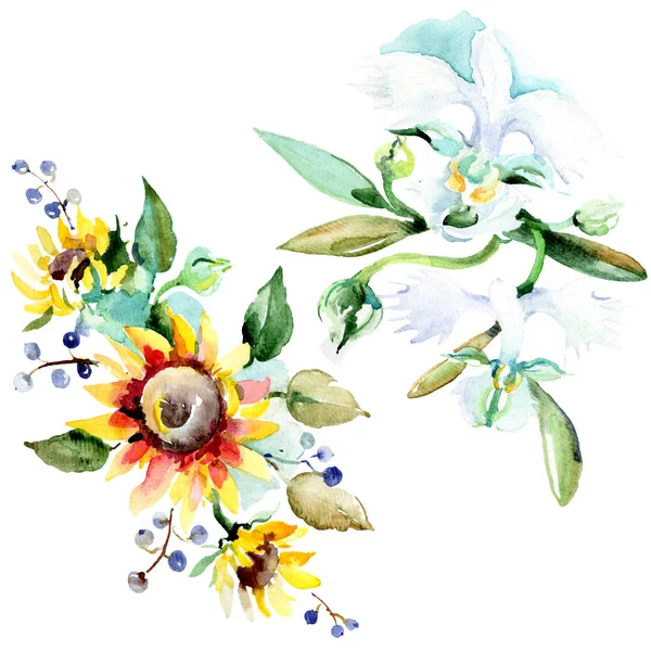 Beautiful Watercolor Flowers White Background Watercolour Drawing Aquarelle Illustration Isolated — Stock Photo, Image