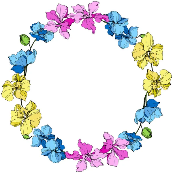 Gele Blauwe Roze Orchideeën Gegraveerde Inkt Art Frame Bloemen Krans — Stockvector