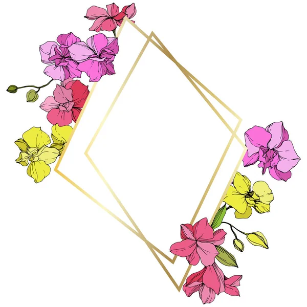 Όμορφη Ροζ Και Κίτρινο Orchid Λουλούδια Χαραγμένο Μελάνι Τέχνης Κρυστάλλινη — Διανυσματικό Αρχείο