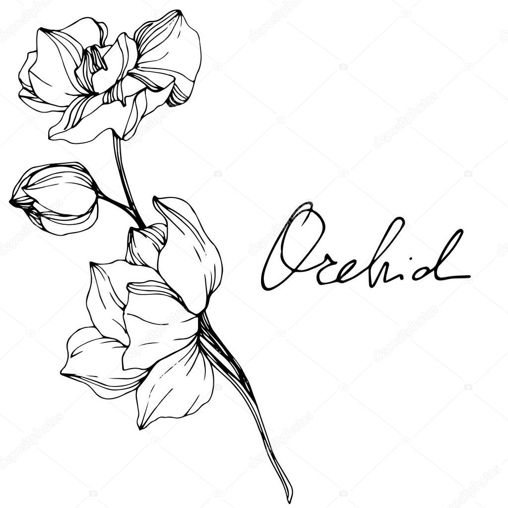 Орхидея логотип