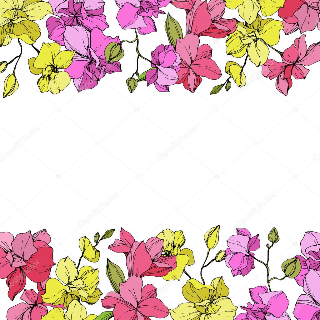 Beautiful pink and yellow orchid flowers. Engraved ink art. Floral borders on white background.
