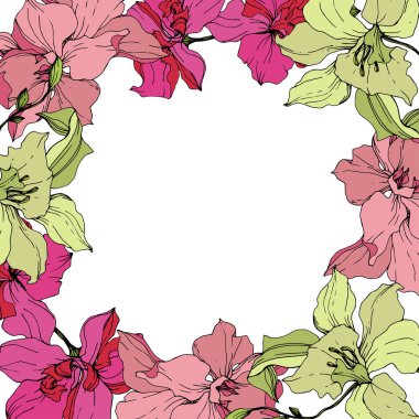 Güzel pembe ve sarı orkide çiçekler. Oyulmuş mürekkep sanat. Beyaz arka plan üzerinde çerçeve çiçek çelenk.