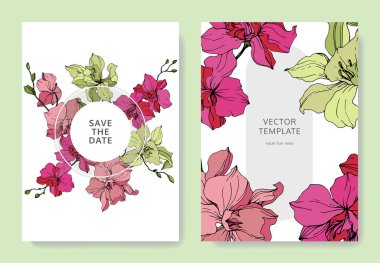 Güzel orkide çiçekler mürekkep sanat kazınmış. Düğün kartları çiçek dekoratif sınırları ile. Teşekkür ederim, rsvp, davet zarif kartları illüstrasyon grafik kümesi.