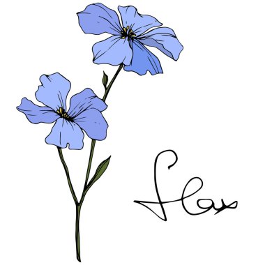 Beautiful blue flax flowers with green leaves isolated on white. Engraved ink art. clipart