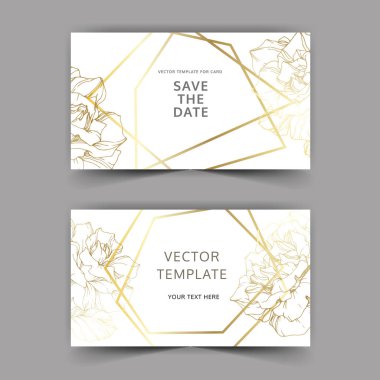 Vector. Golden rose flowers on cards. Wedding cards with golden borders. Thank you, rsvp, invitation elegant cards illustration graphic set. Engraved ink art. clipart