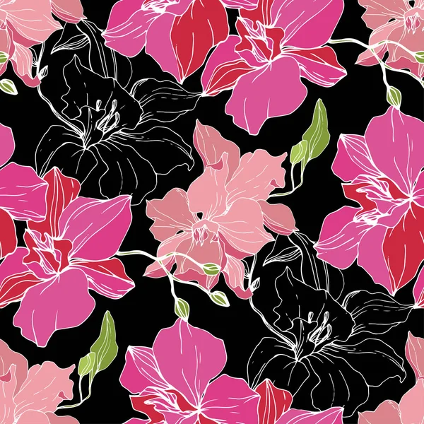 Όμορφη Ροζ Orchid Λουλούδια Που Απομονώνονται Μαύρο Φόντο Απρόσκοπτη Υπόβαθρο — Διανυσματικό Αρχείο